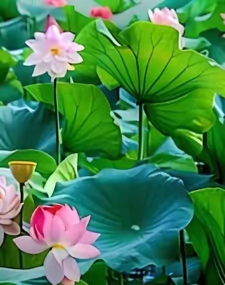 自愈是本能，清醒是成年人的必修课

人这一生，终究是一场独自的修行。没人能永远为