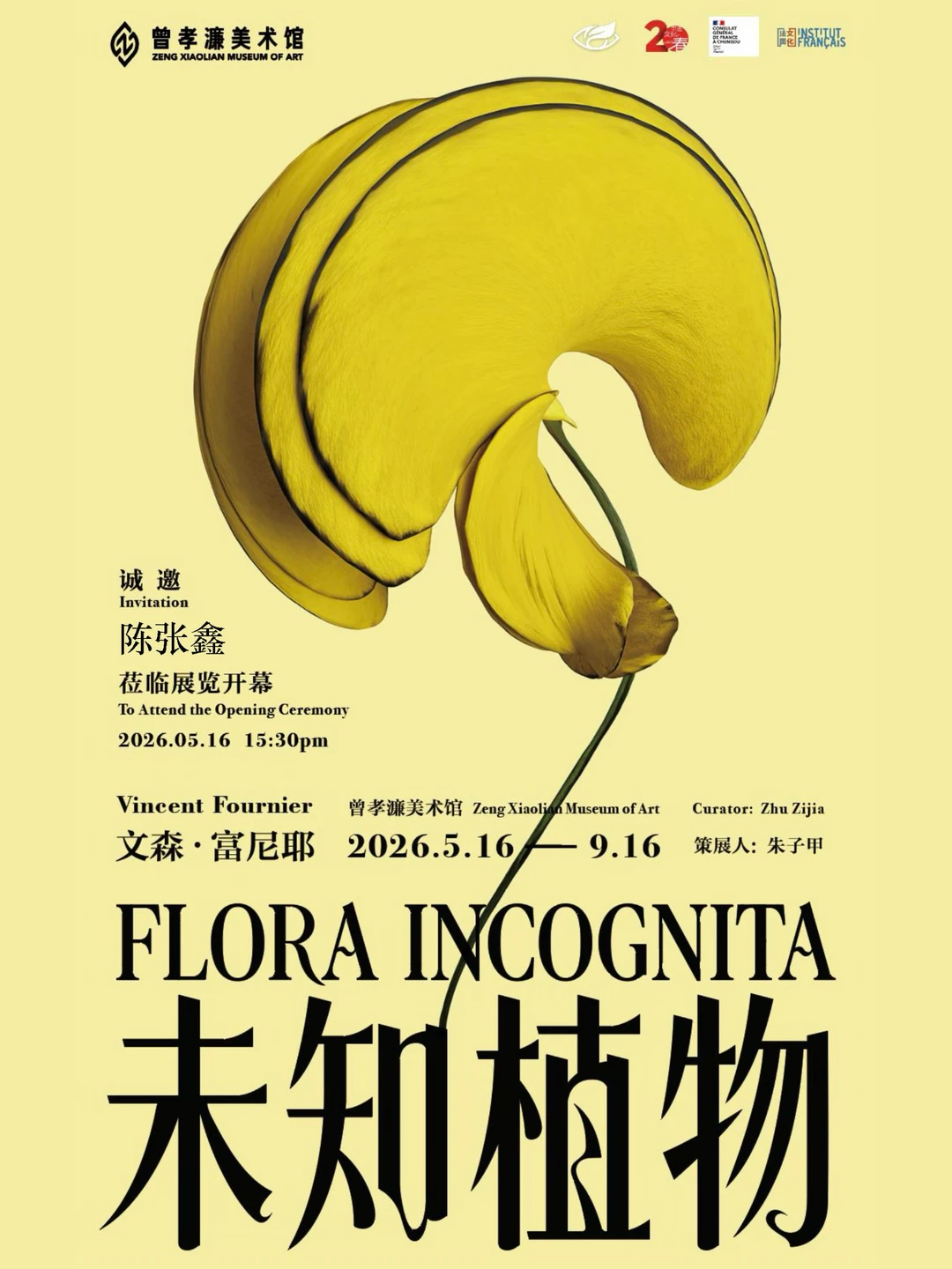展讯 | 一个诡秘植物的展览