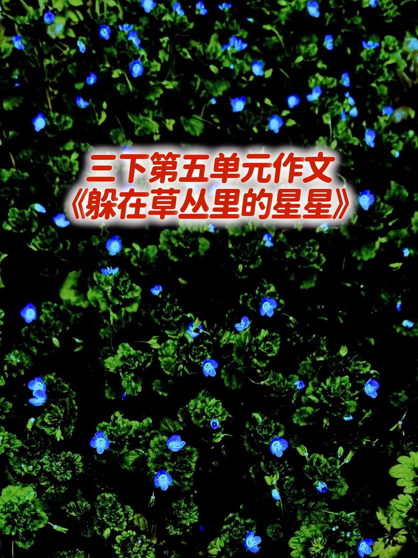 《躲在草丛里的星星》同步优秀范文。家长必读，小学三年级下册第五单元习作...
