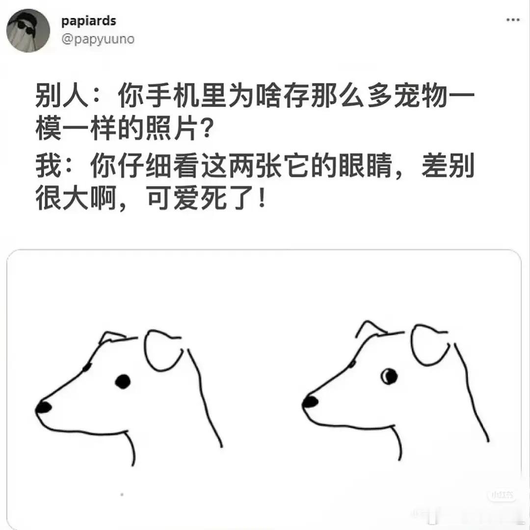 保存这几张图给我的感觉belike： 