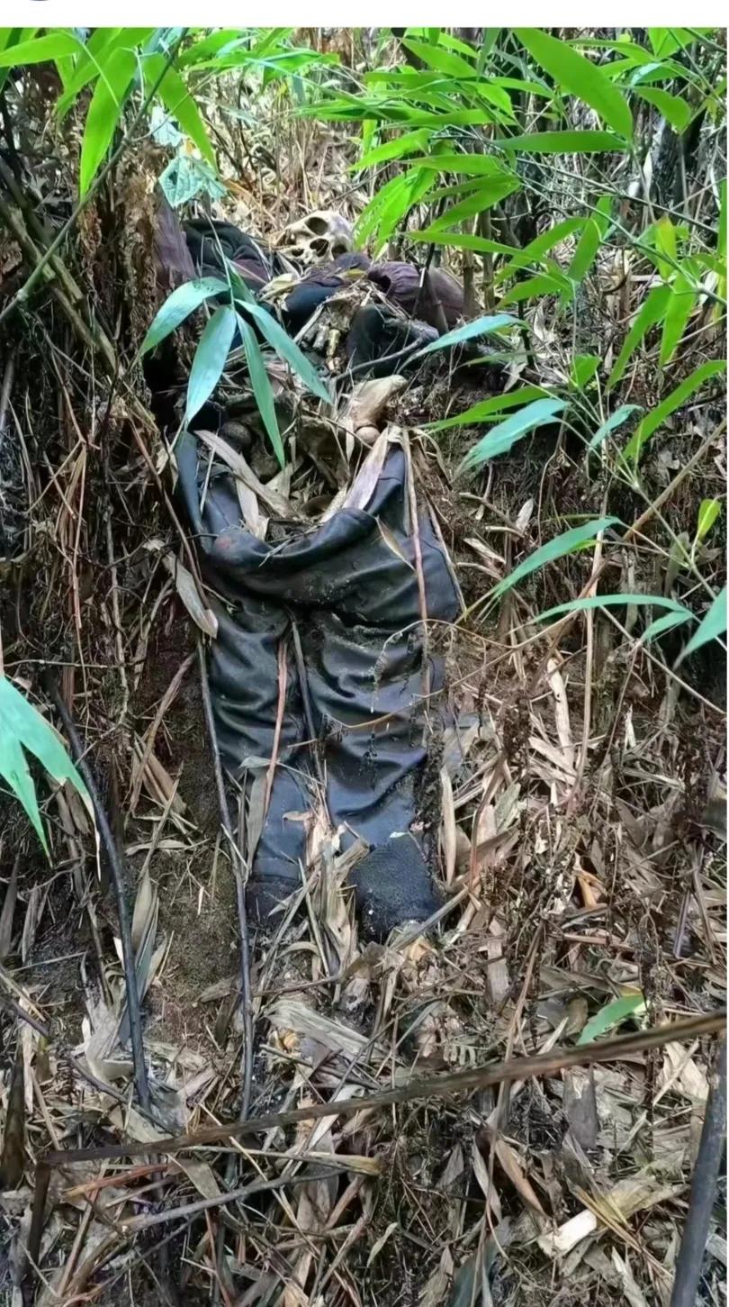 户外运动或者作业的人一定要注意安全啊，哪天挂了都没人知道，发现的时候只剩下一具骸