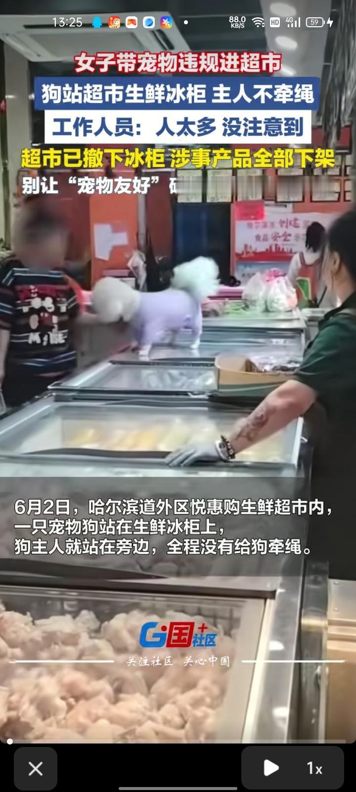 6月2日，黑龙江哈尔滨。一只宠物狗站在生鲜柜上，狗主人就站在旁边，全程没有给狗牵