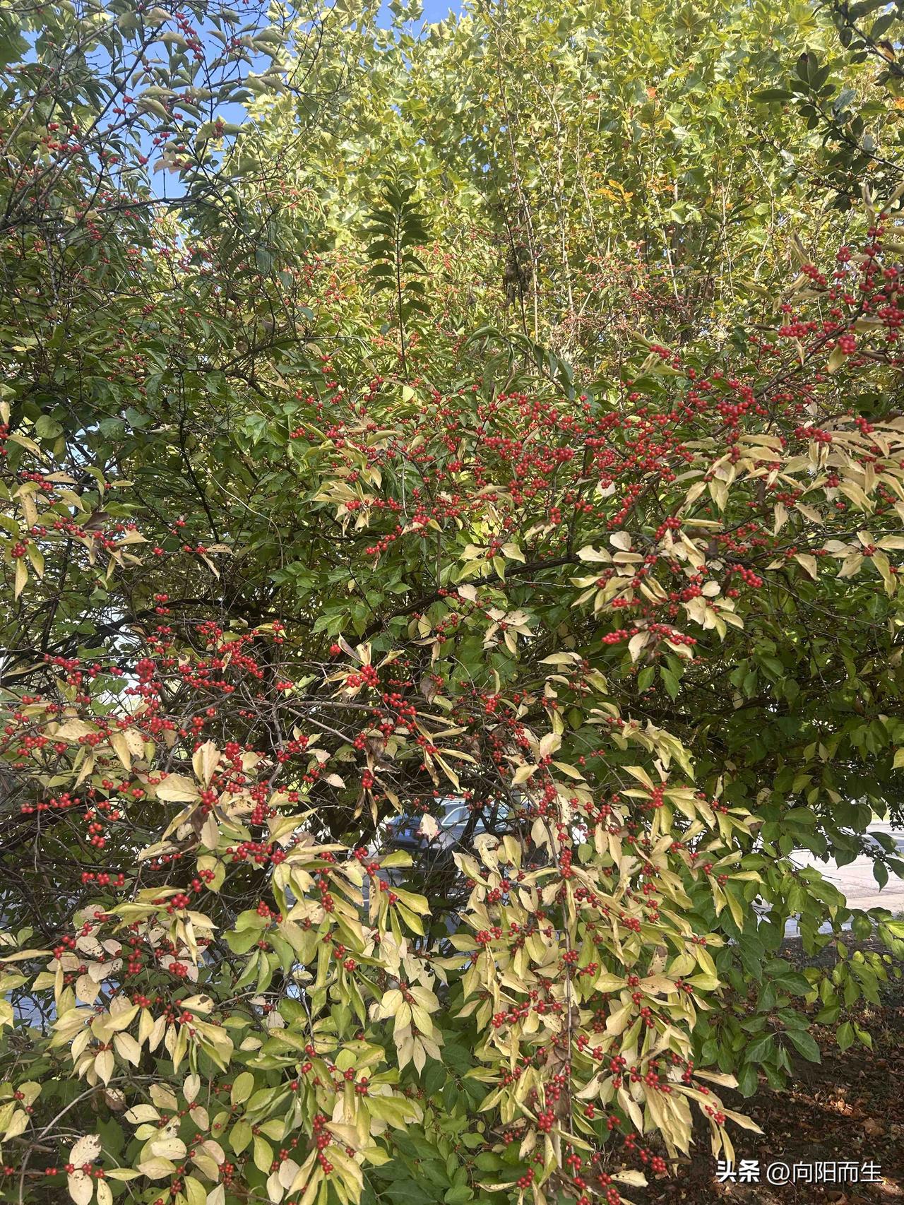让孩子多一个人爱不好吗？这话前夫脑疯期时也对我和孩子说过，我说他脑壳上了包，猪油