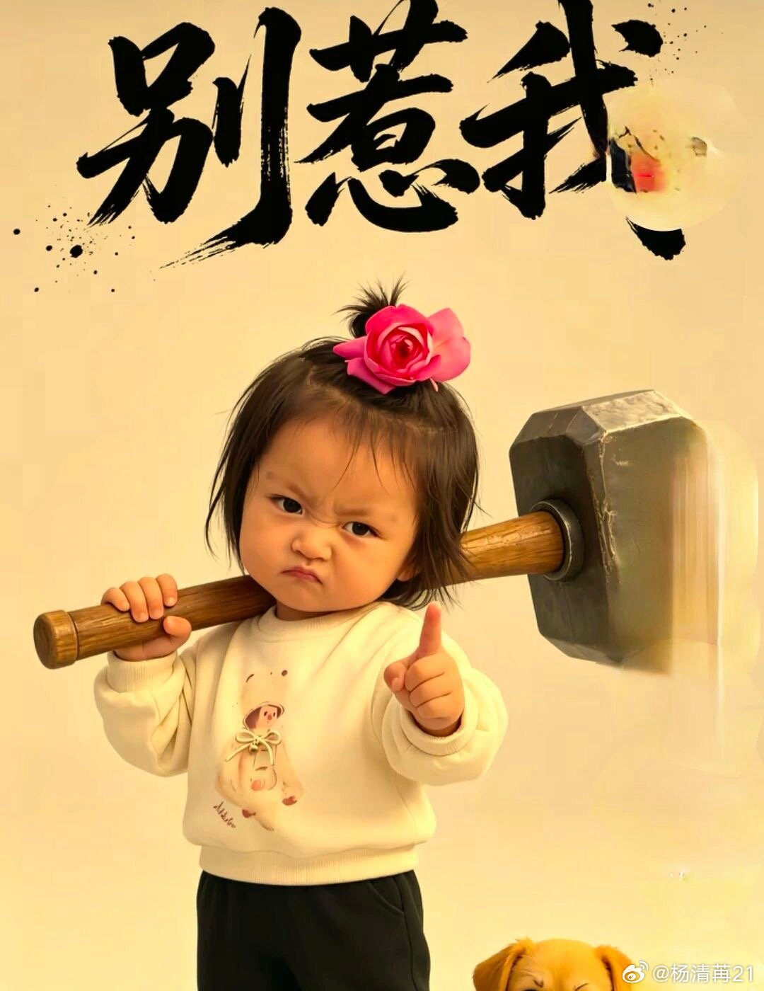 哎哟喂，8粉酸掉牙了吧！各种抬咖也只有粉圈可见