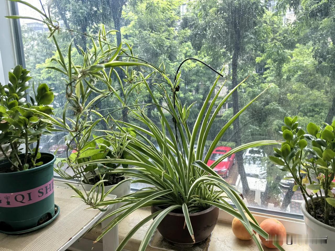 雨天追剧