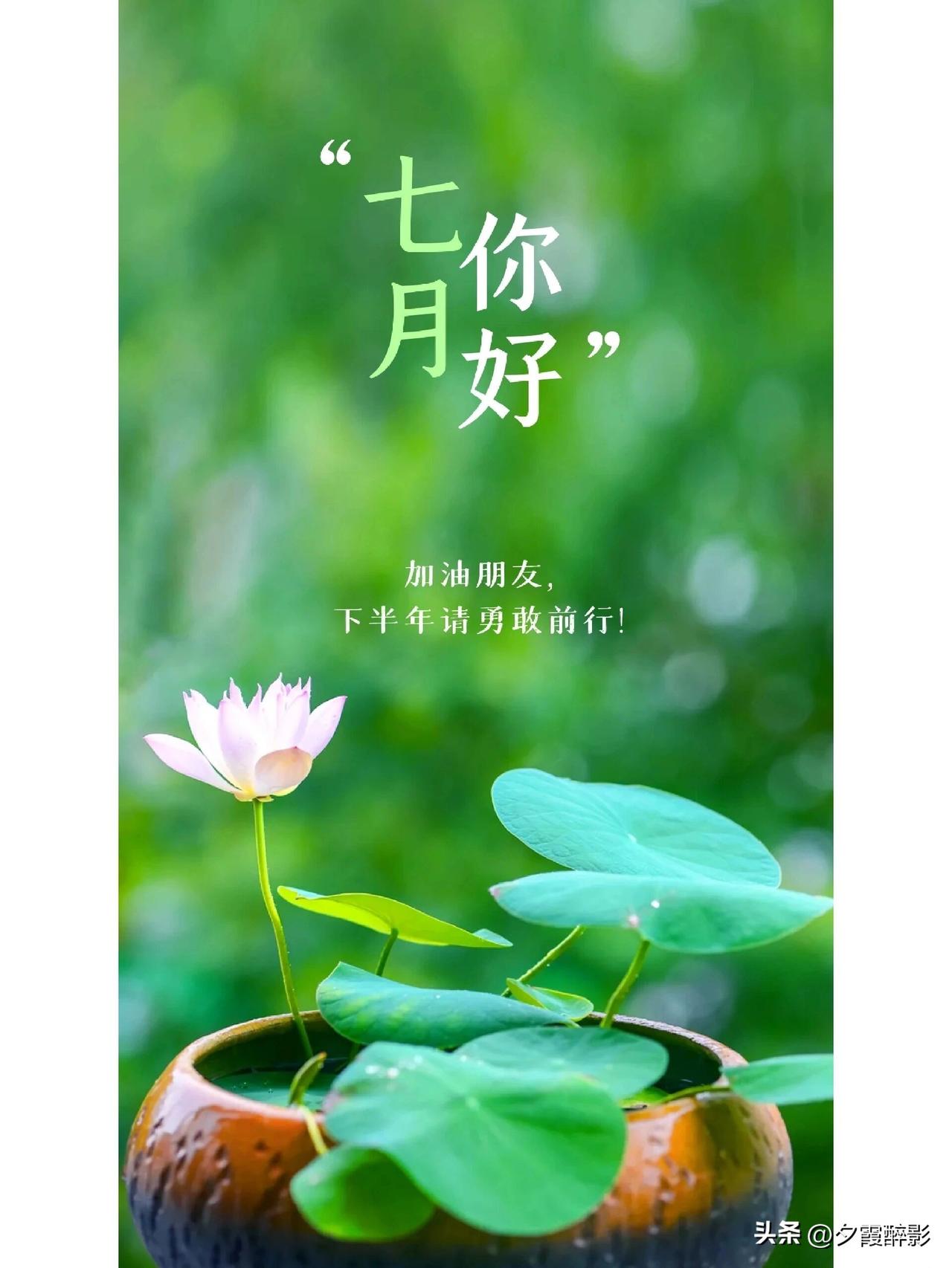 写在七月的第一天
 
七月的风带着盛夏独有的温柔，翻开了一年下半场的书页。
 