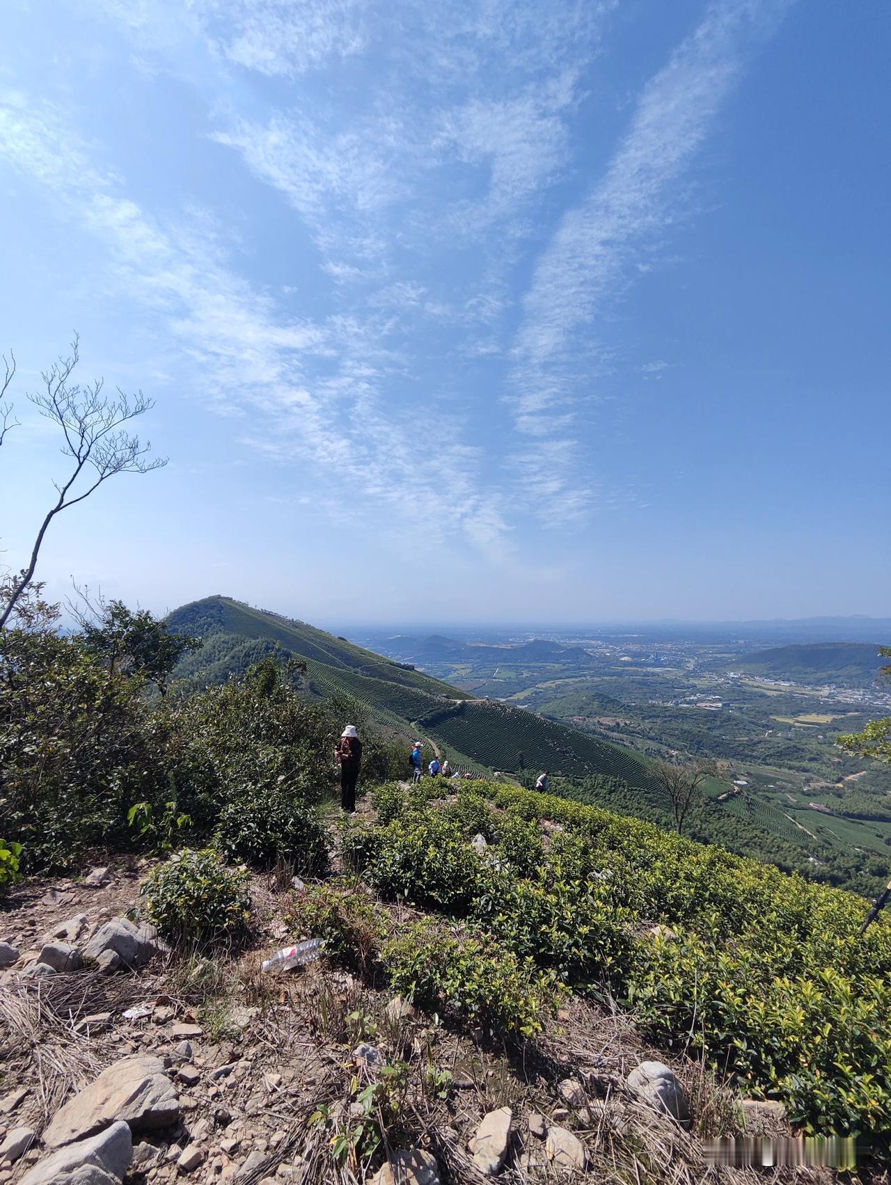 #秋日生活打卡#
茶山
白云
蓝天