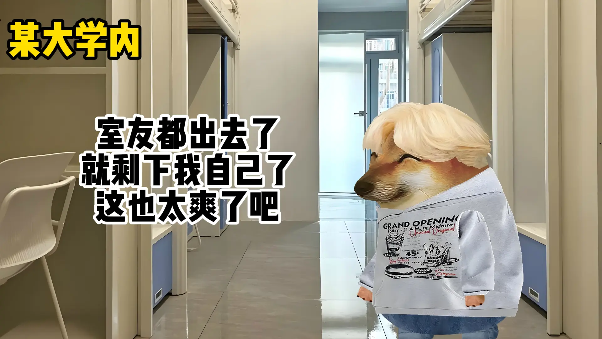 中国最好室友。