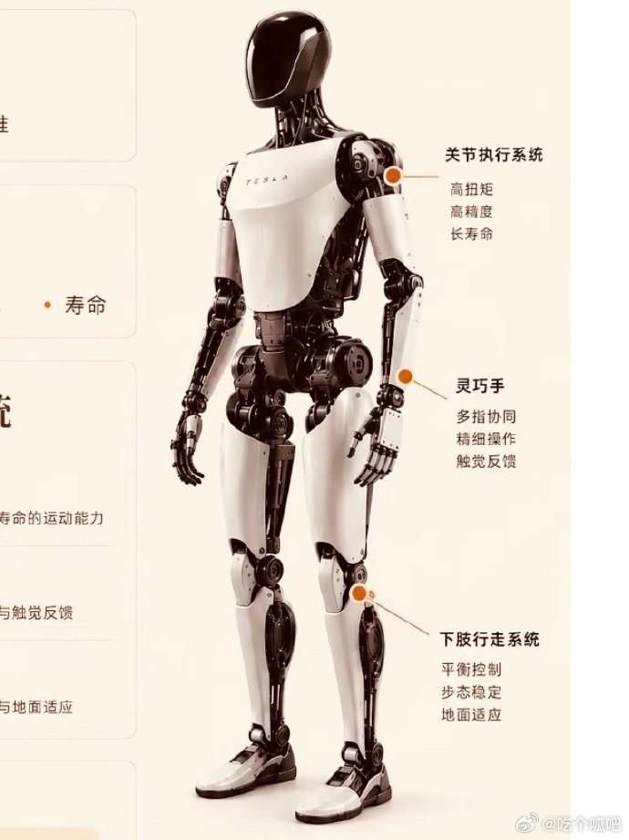 不是很希望靠人形机器人取代感情不希望靠人形机器人取代感情分担家务、排解孤单机器人