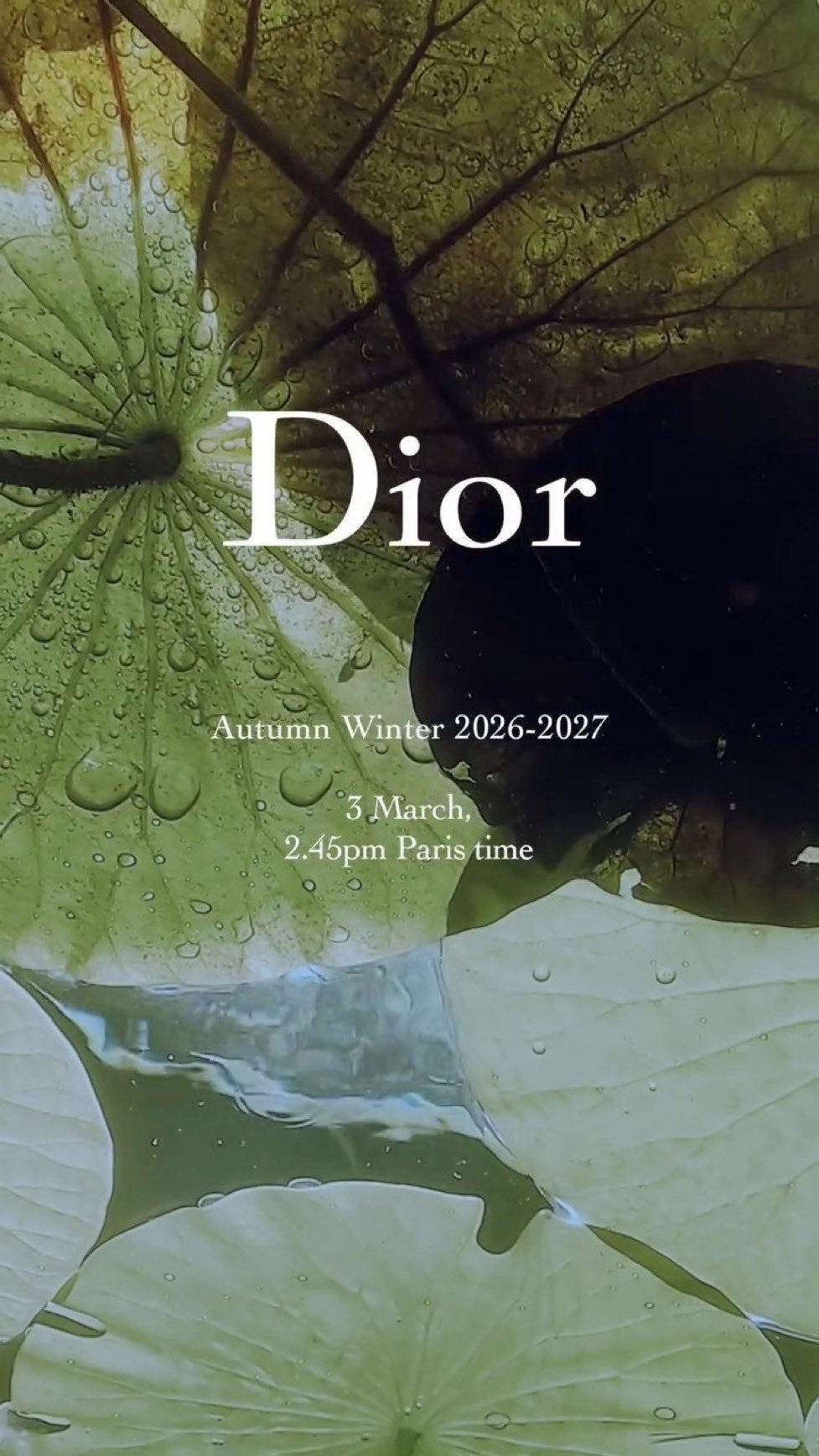 Dior秀场泛出莲花之韵迪奥二零二六秋冬系列如约而至，创意总监Jonathan 