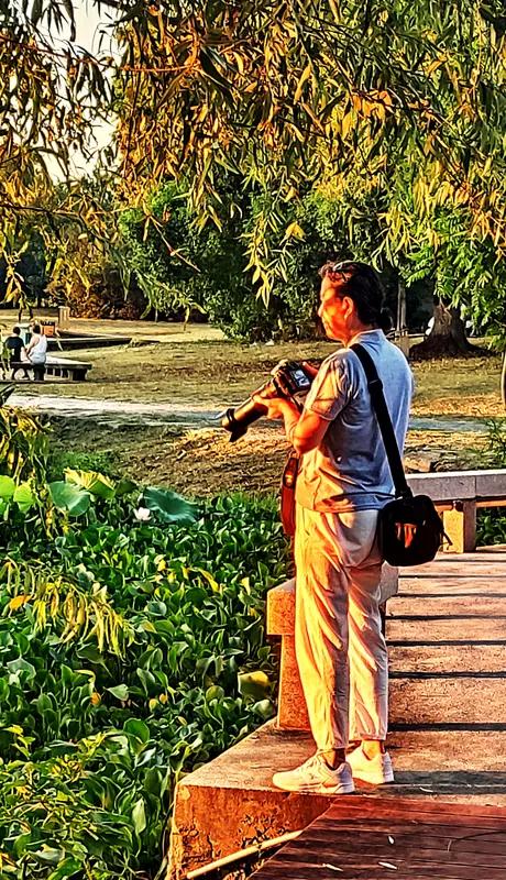 《暮年色彩》菊喻暮年色彩多，白发依然爱生活。纵使寒冰压春色，腊梅咄蕊香白雪。