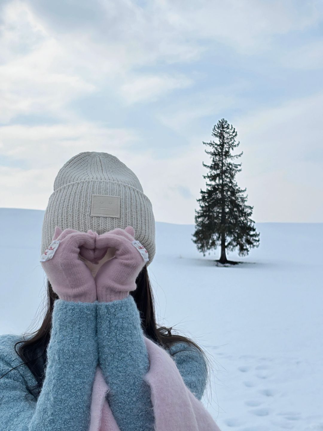 北海道｜美瑛的浪漫🎄