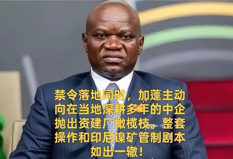 加蓬照搬印尼镍矿套路！叫停锰矿原矿出口，逼中方交出核心冶炼技术！

2025年5
