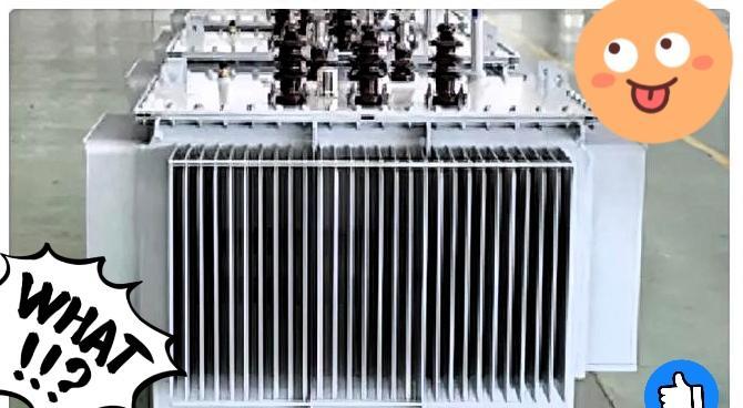 变压器没芯片 flashy，但没它，电就到不了你家。
马斯克说对了——真要断电，