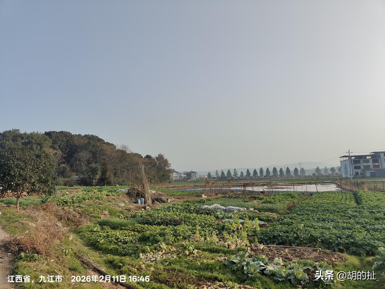 农民养老金开多少合适听村里两个人散步时对话说，家里房子拆迁，就买了一笔社保，现在