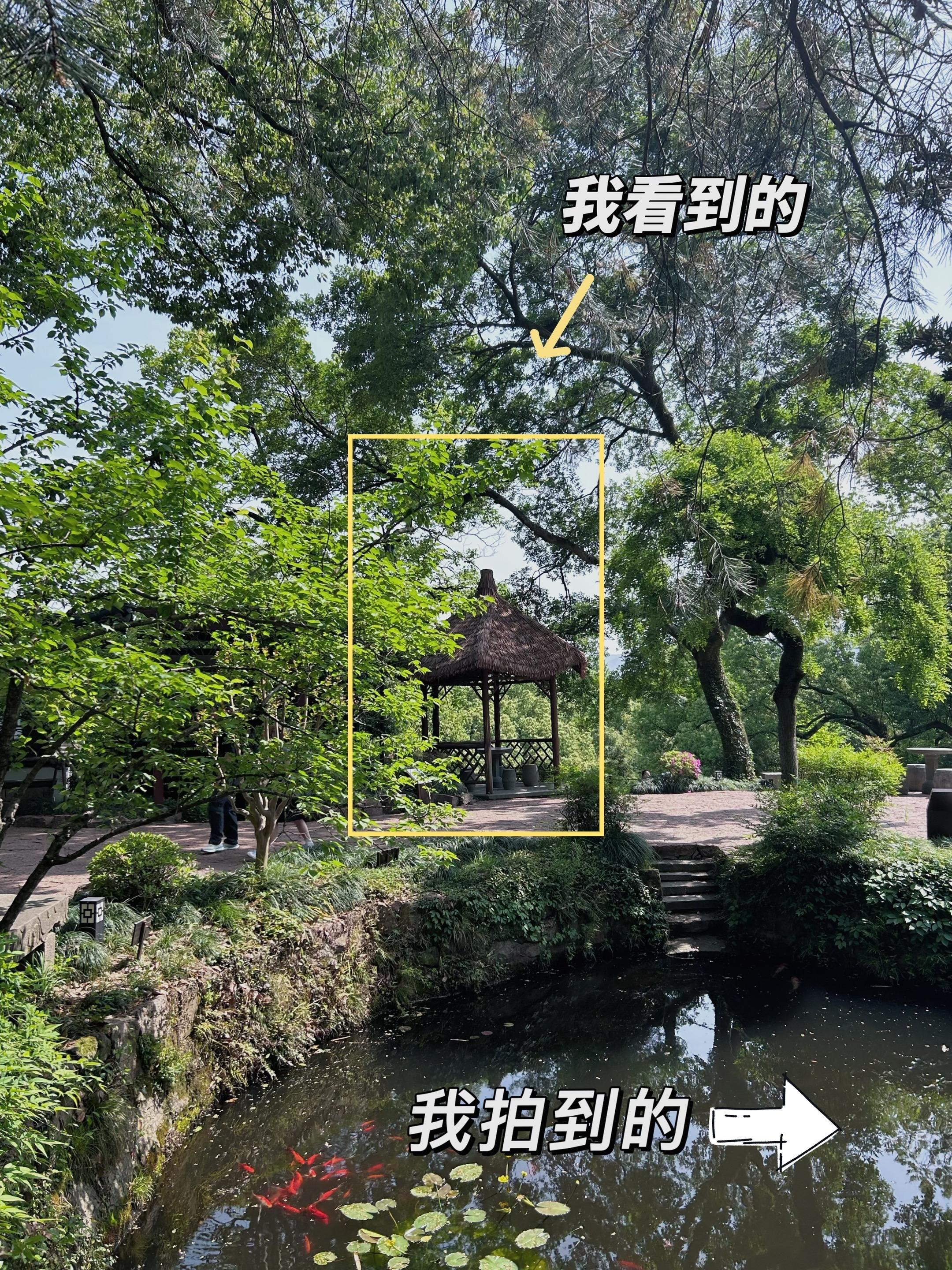 西泠印社｜我看到的VS我拍到的。
