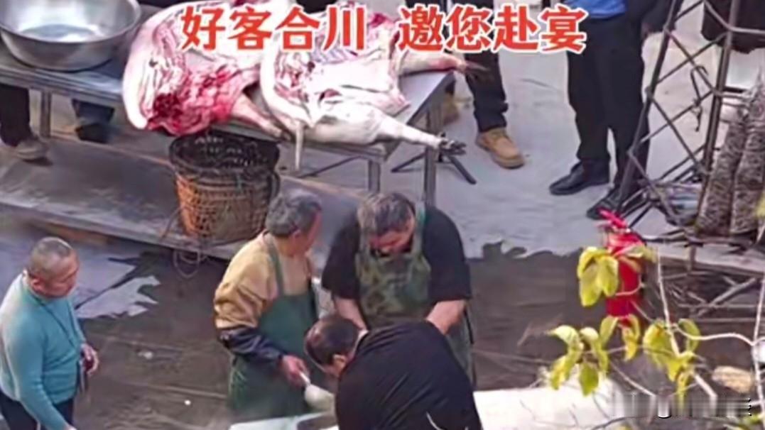 “呆呆刨猪宴”的一呼百应，展现出当代社会多重深层需求与情感共鸣，是一次真实、乡土