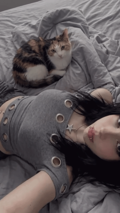 这只猫成精了吧 ​​​