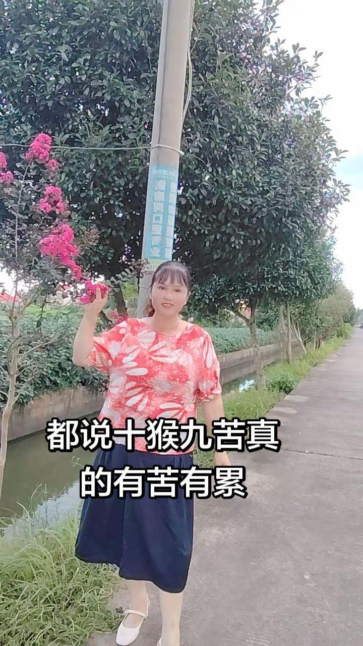 情绪音乐玩法新风向 玩法合伙人计划
