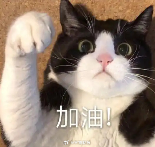 #早安# 放下昨日，轻装上阵，执笔为剑，奔赴属于自己的盛夏荣光！#今天是高考第2