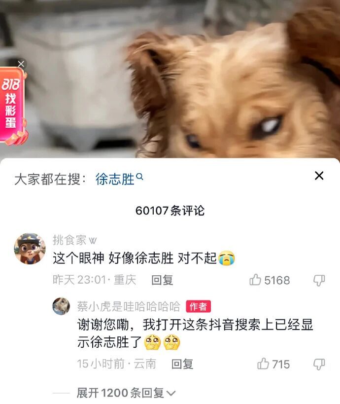 或许……你们相信平行世界吗 