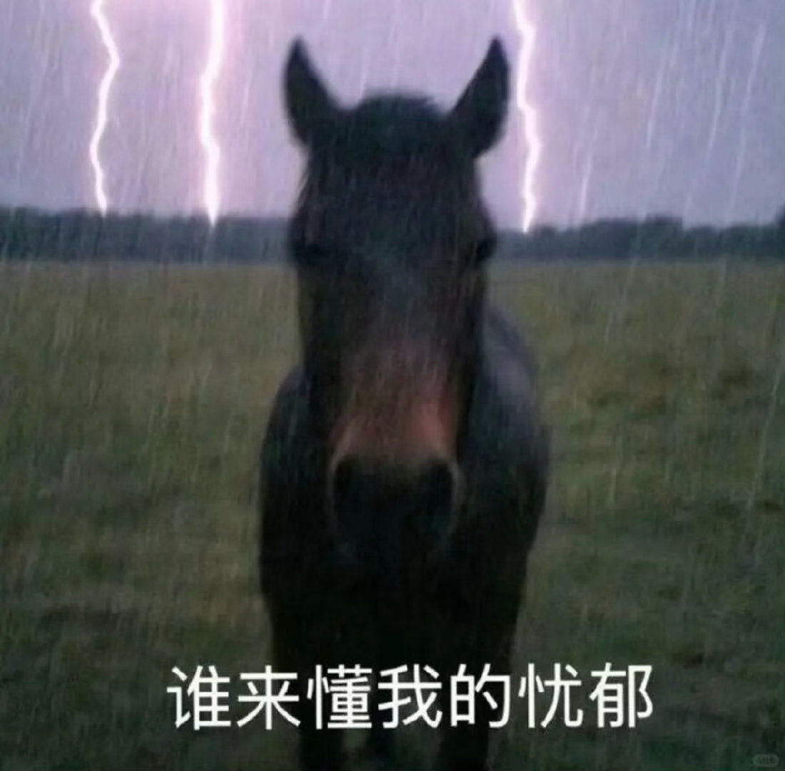 今天也是4点起，搞完了神快12的前言后记外加一篇童话，洋洋洒洒五千多字，累并充实