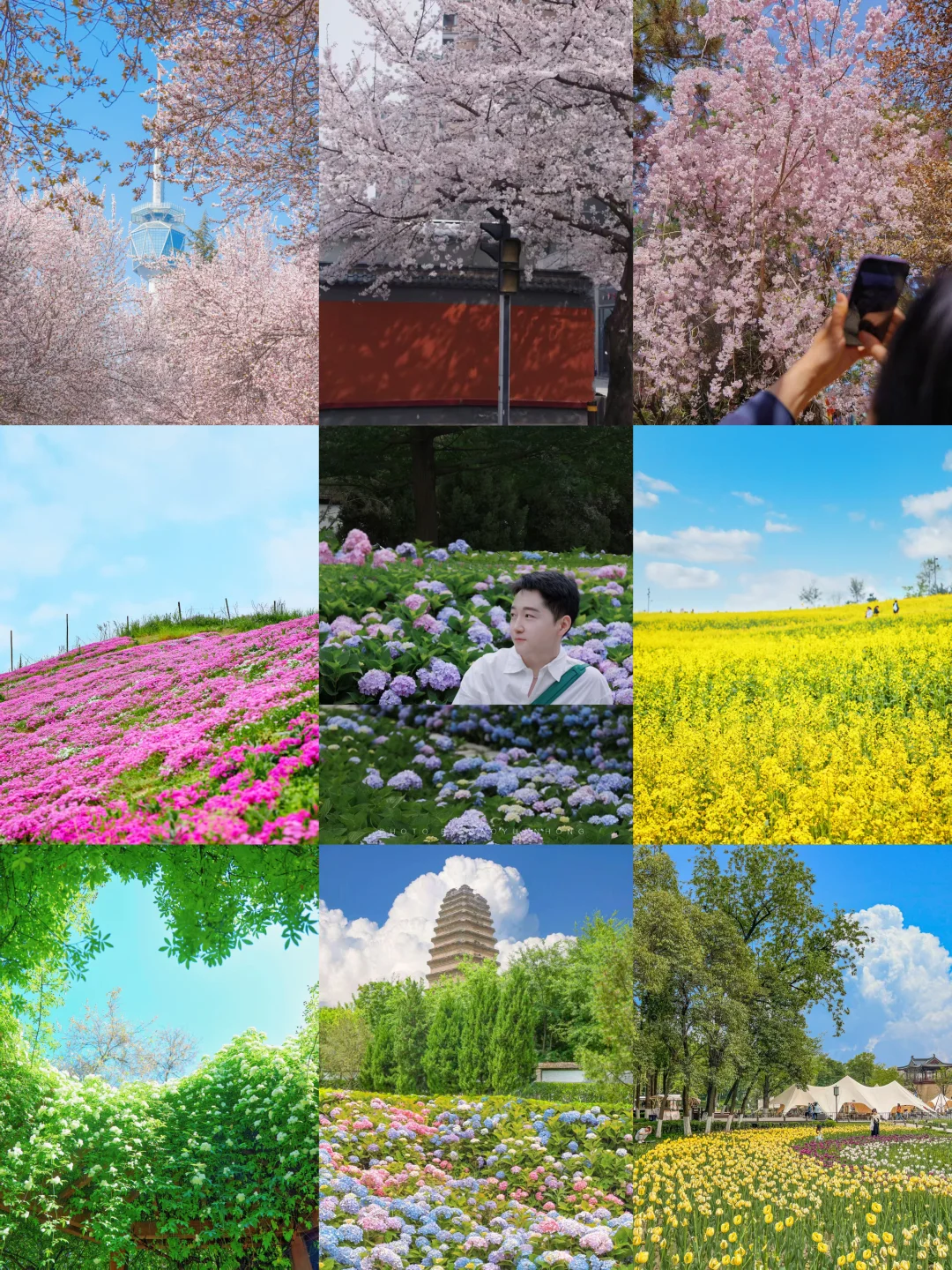 西安春日赏花指南…错过等一年（含赏花位置