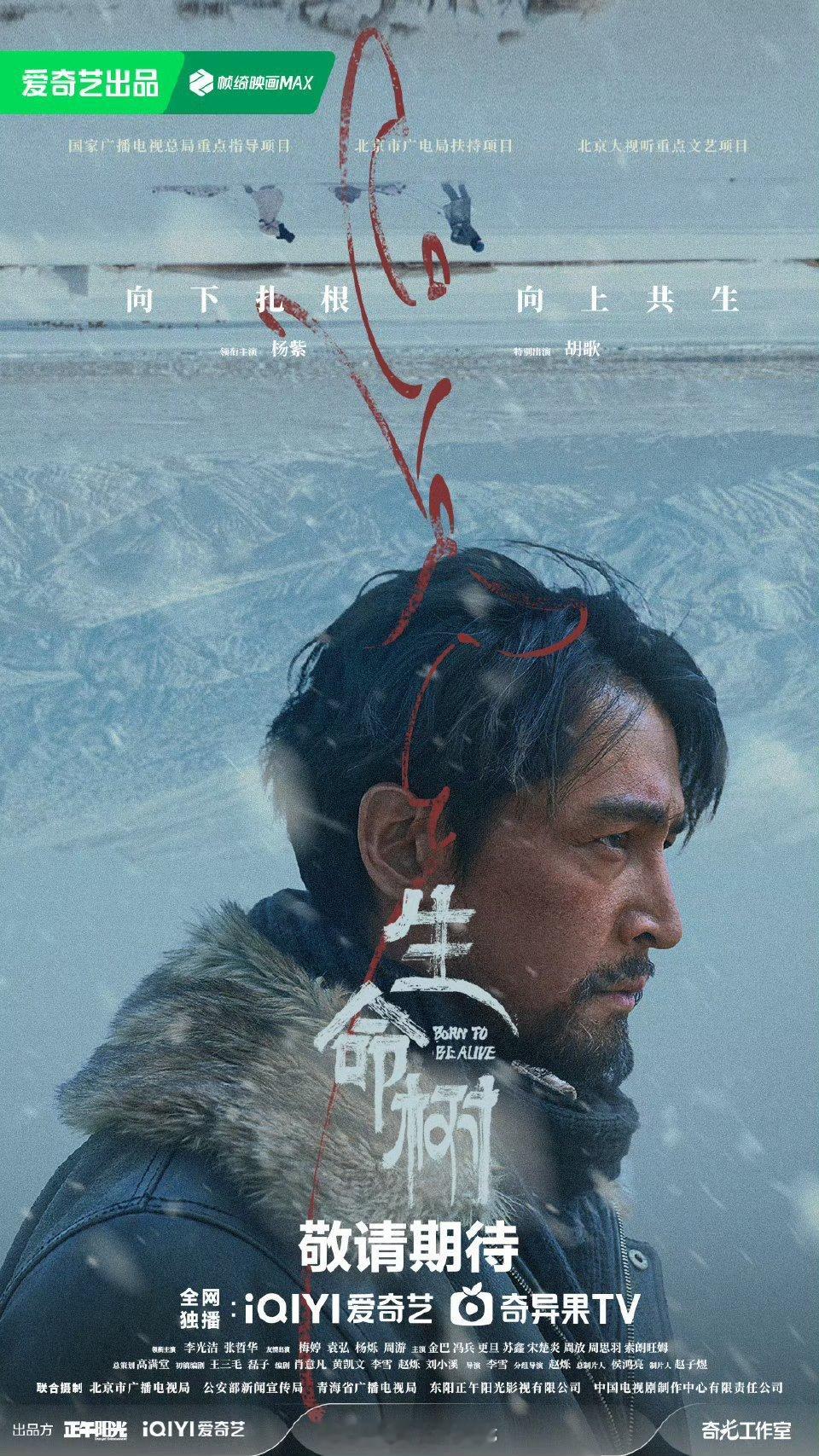 杨紫《生命树》央八定档1月30！下周五不见不散！ 