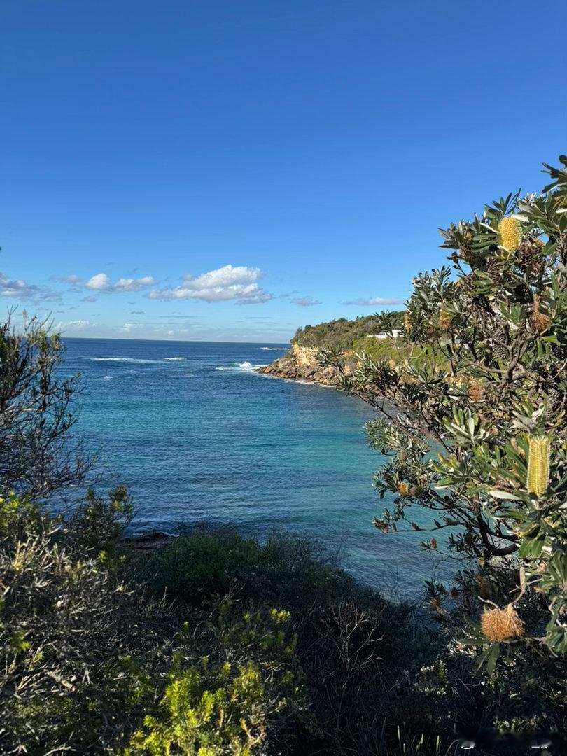 今天觉得很幸运遇到一个大晴天。 我们去了从Bondi to Coogee 这条沿