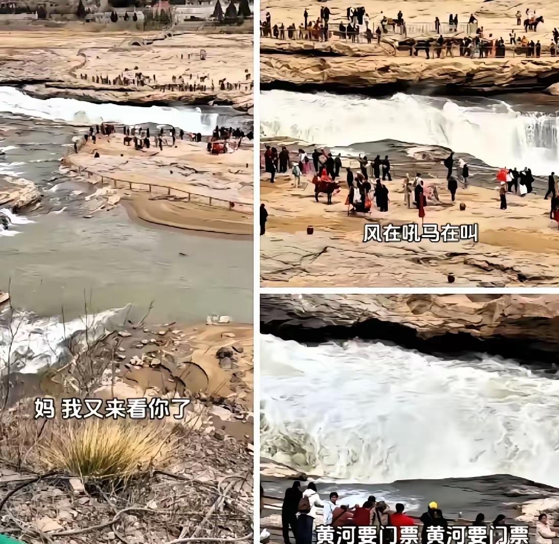风在吼，马在叫，黄河要门票，这一句魔改歌词，听着搞笑又扎心。
3月22日壶口瀑布