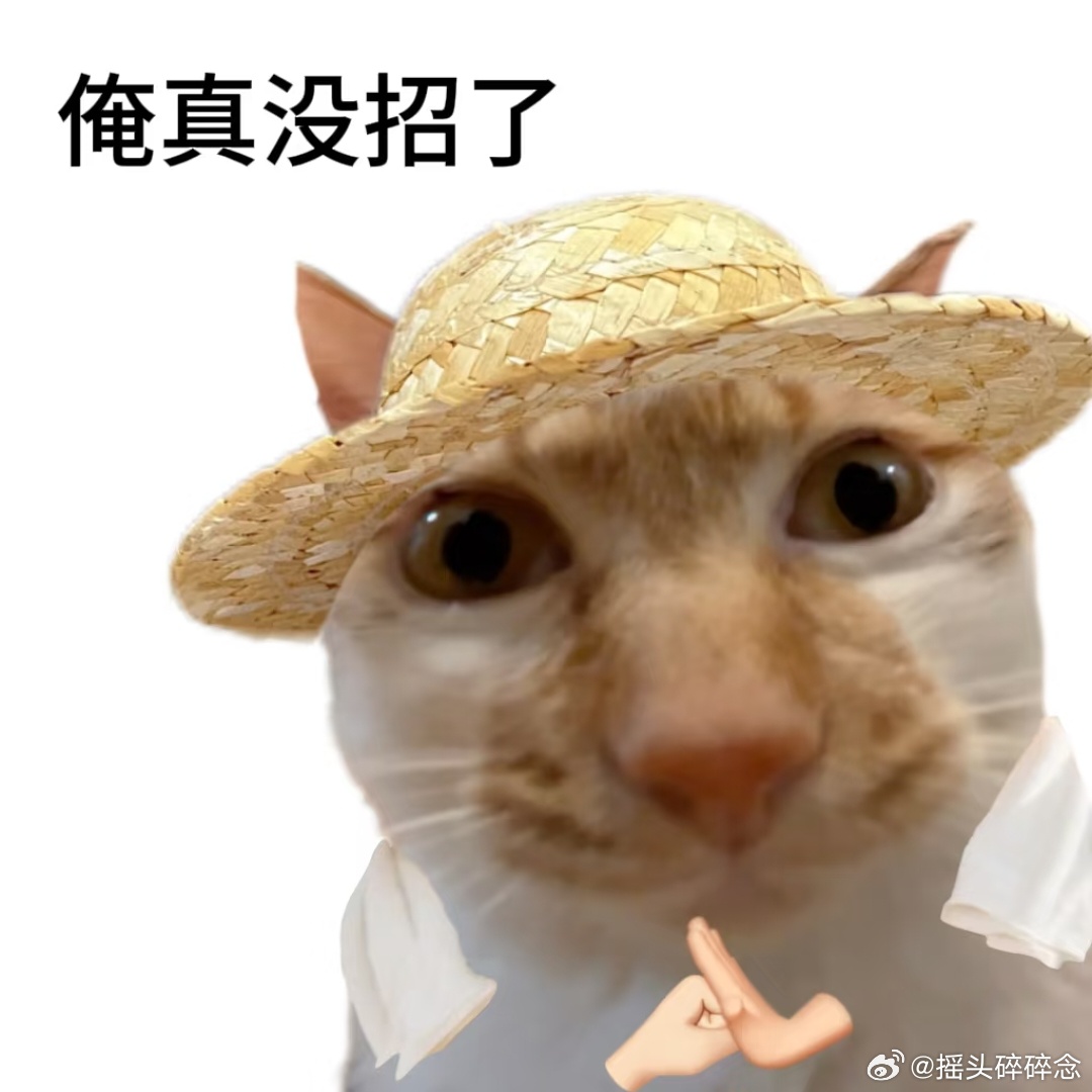 到底为什么要有经期，每次都肚子疼的要死，还老趁我不注意漏出来更是何意味 