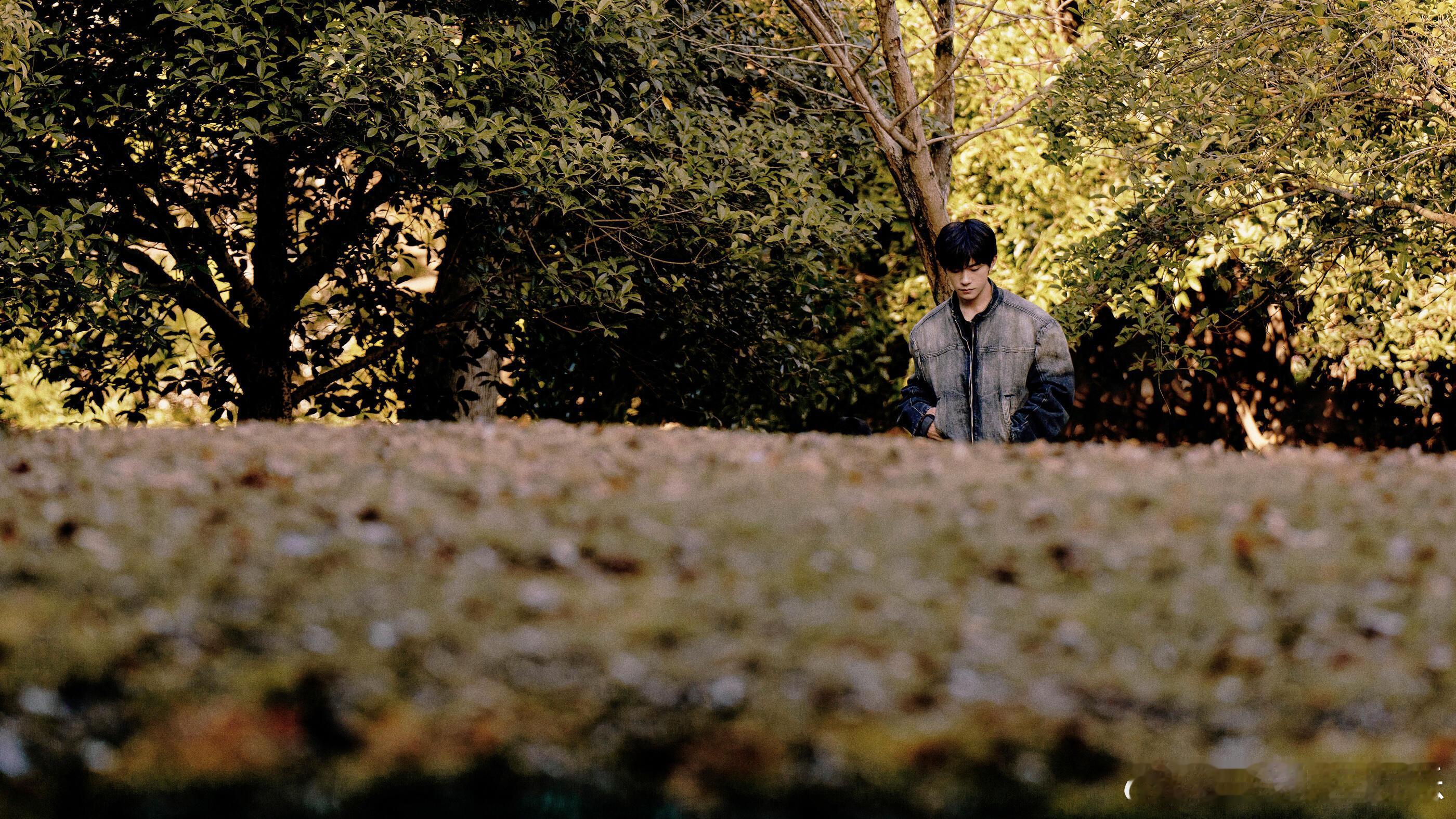 2026年易烊千玺想一个人旅行 挺理解他想要独自上路的念头，长期处在高强度的关注