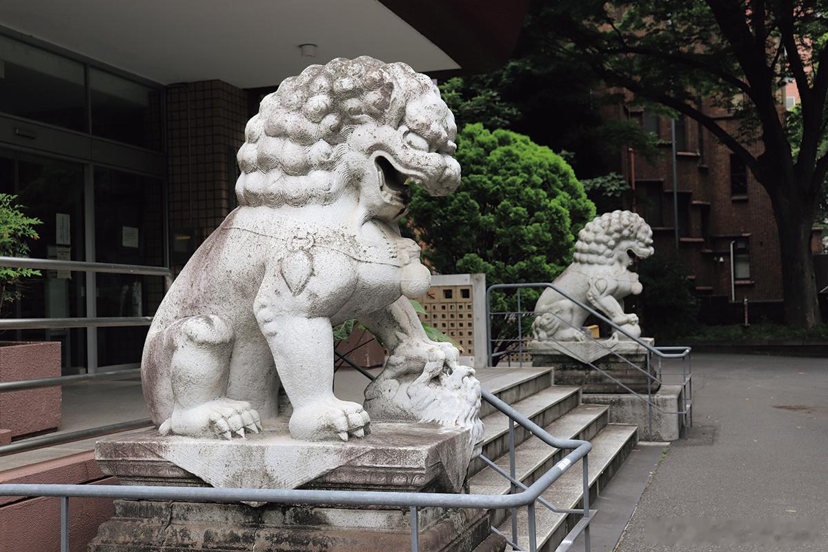 韩国向中国赠还清代石狮 韩国做出了表率。东京大学东洋文化研究所前的一对石狮，继承