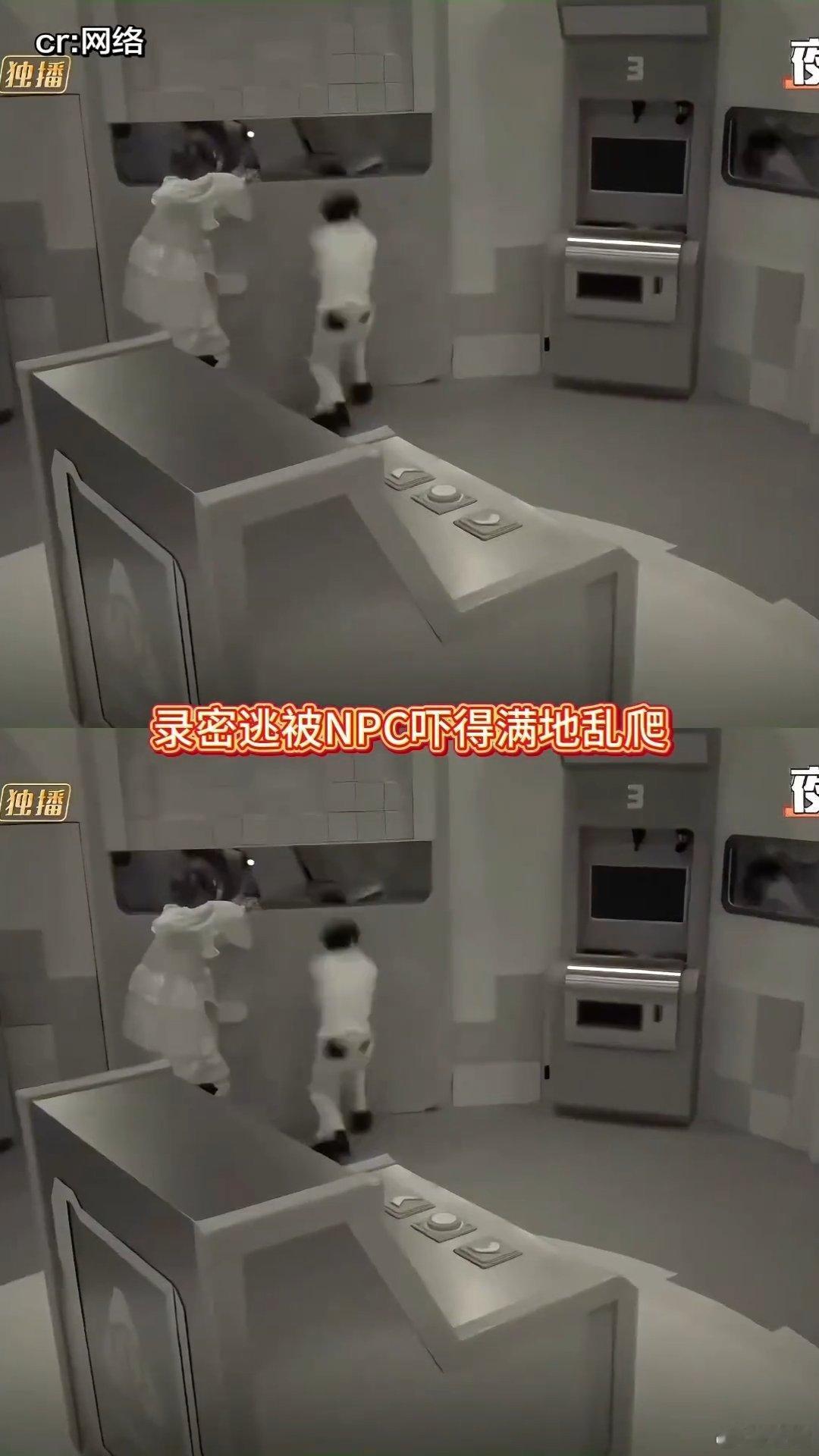 陈哲远彭昱畅密逃白磷型人格张真源被陈哲远彭昱畅吓到了密室大逃脱白磷一样一触即发的