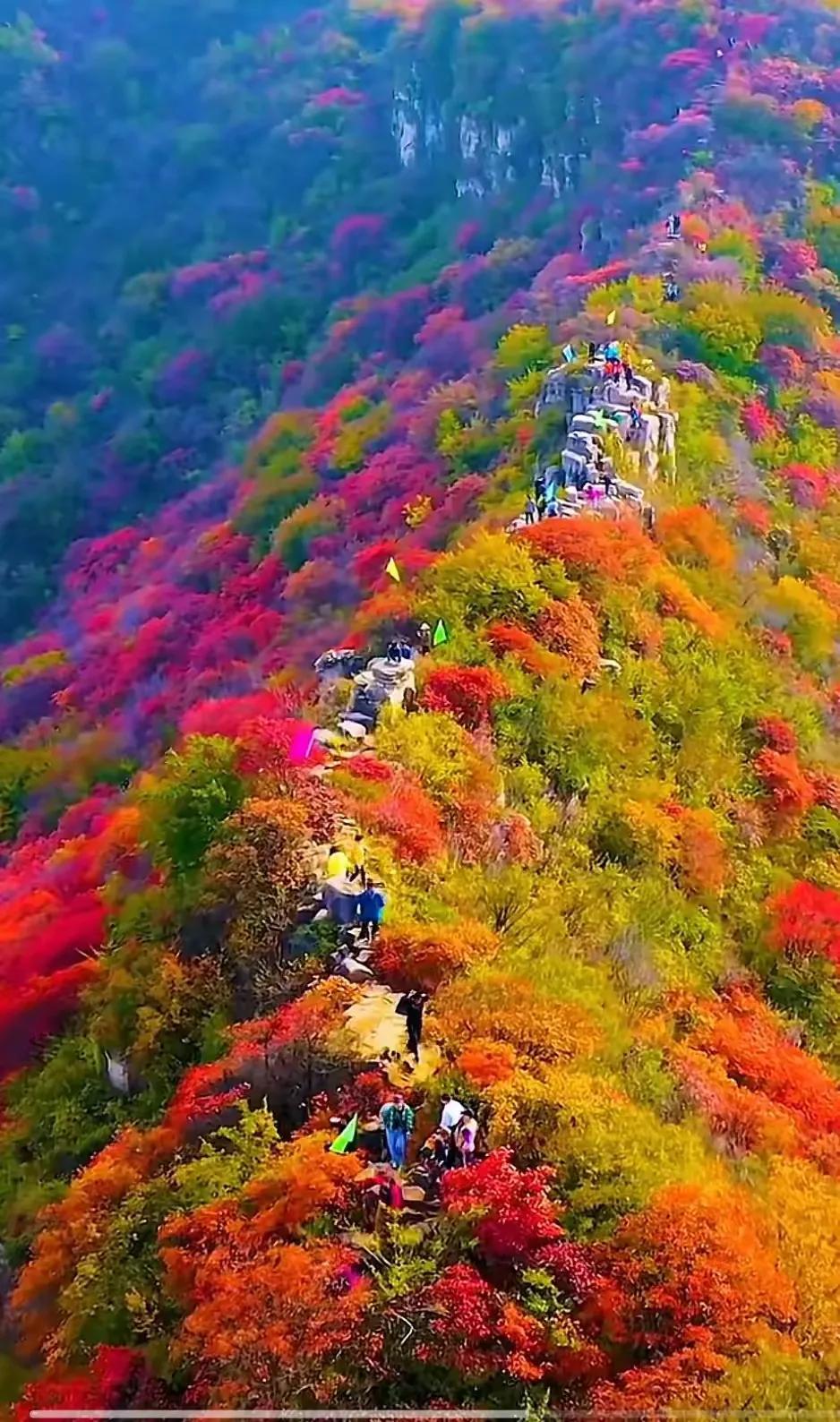 上联：层林尽染秋红遍；
下联：？？？