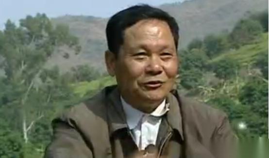 广东一位68岁的老人，借1200万种树1000亩橄榄树，搞得自己妻离子散，谁想到