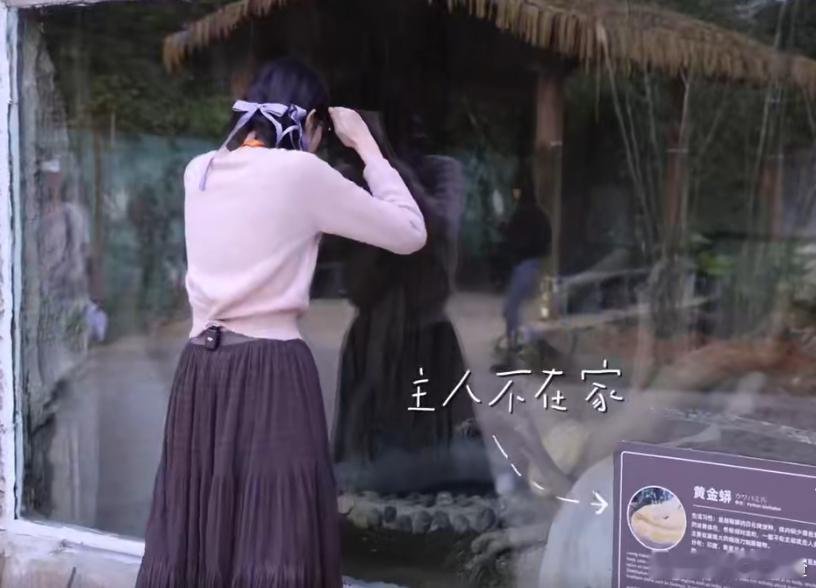 张艺凡不怕黄金蟒怕羊驼 宝子们，张艺凡真的太有梗啦！摸黄金蟒的时候，她像个经验丰