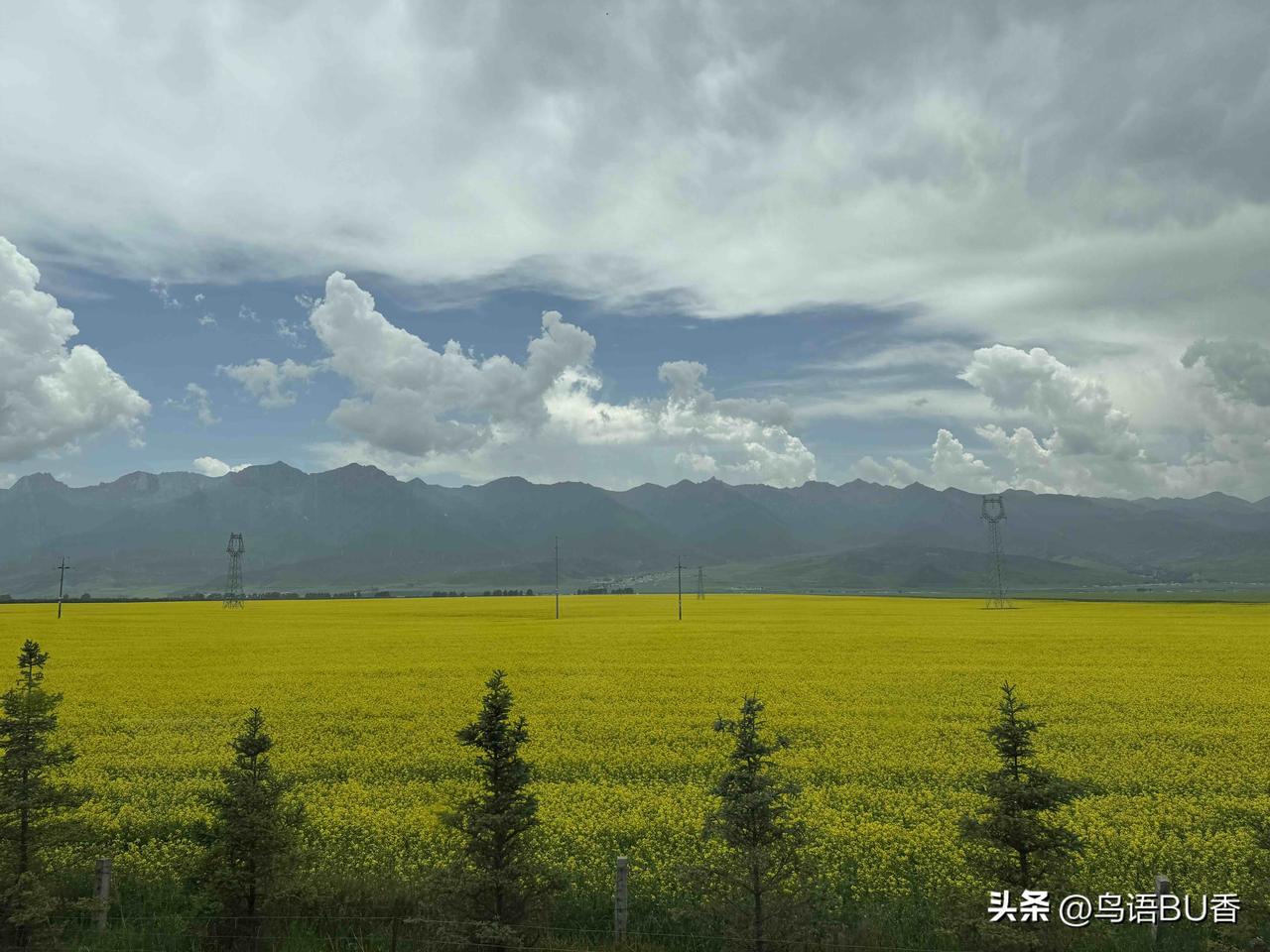 这边的舆论环境，是否想过一件事，即若美以对伊朗的强烈打击下，伊朗不久后会出现一个