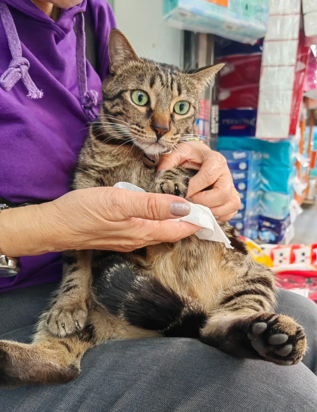 🇭🇰HK貓店長系列💛 契媽幫阻B搽藥膏