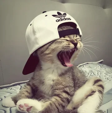 若山品科技