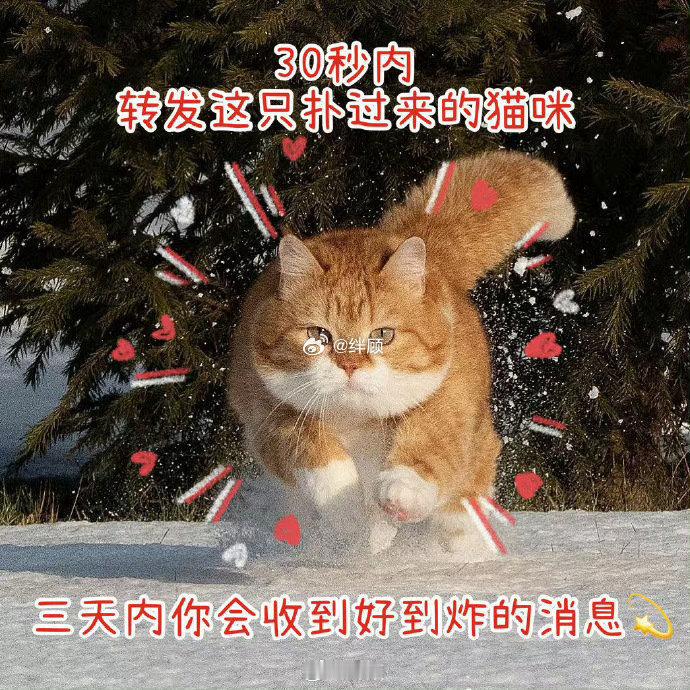 日常迷信，这张图太灵了 建议你们试一试💫 ​​​