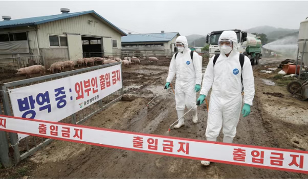 韩国非洲猪瘟中央事故处理本部25日通报，位于忠清南道唐津市的一家养猪场发生非洲猪
