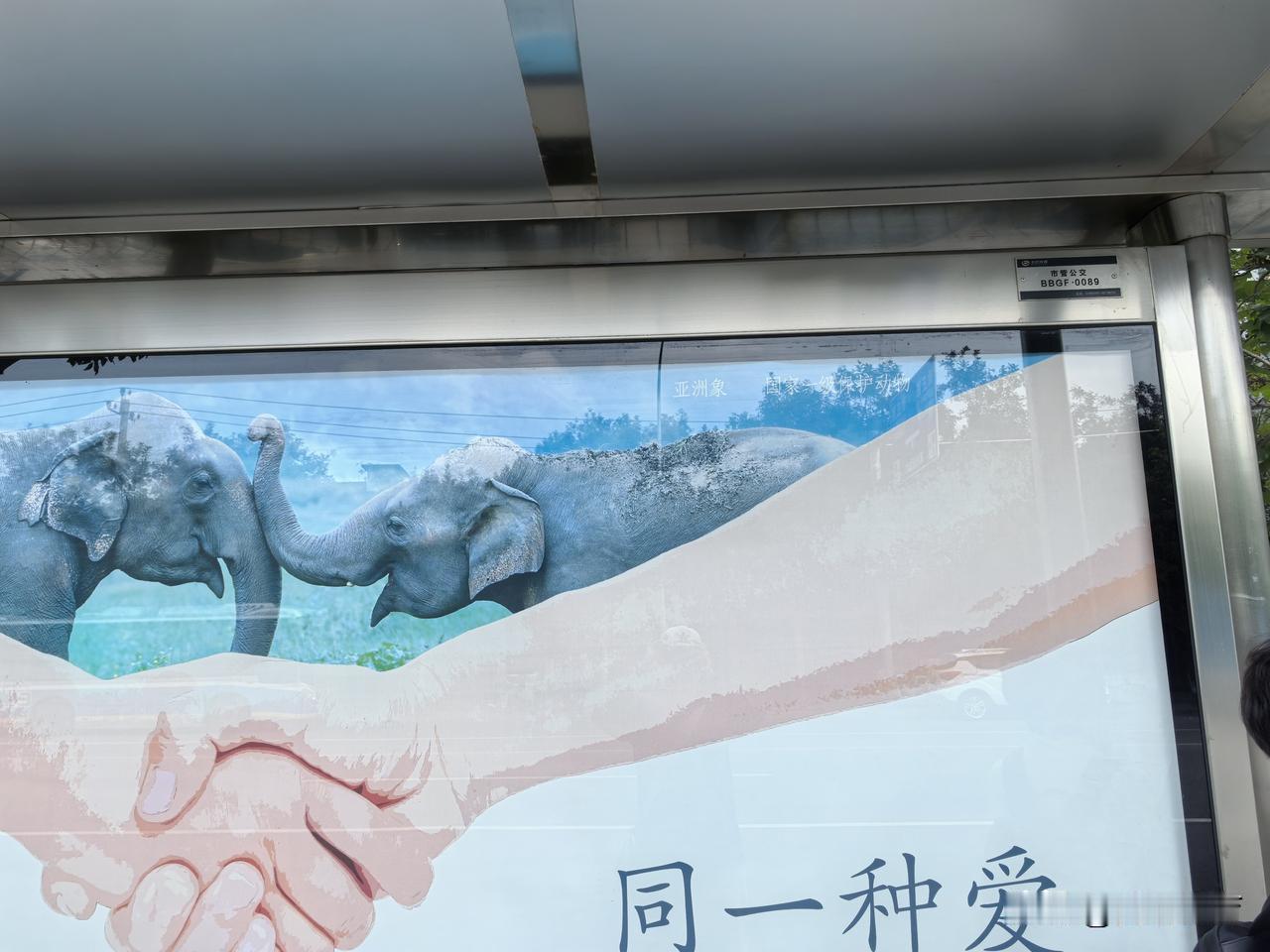 原来每一块公交车站的广告牌都是有编号的。这样，通过编号就可以进行定位，这比邮政编