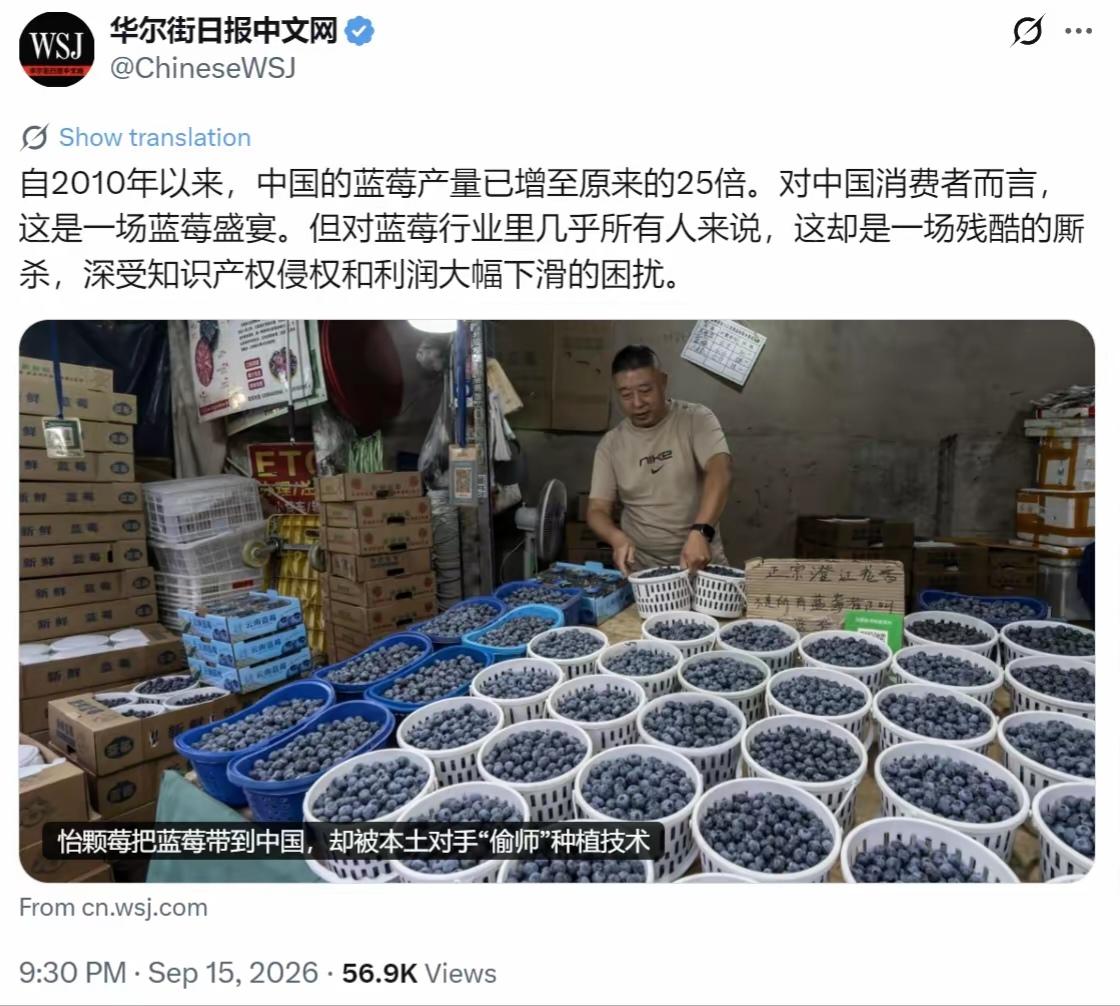 华尔街日报中文网9月15日报道：“自2010年以来，中国的蓝莓已增至原来的25倍