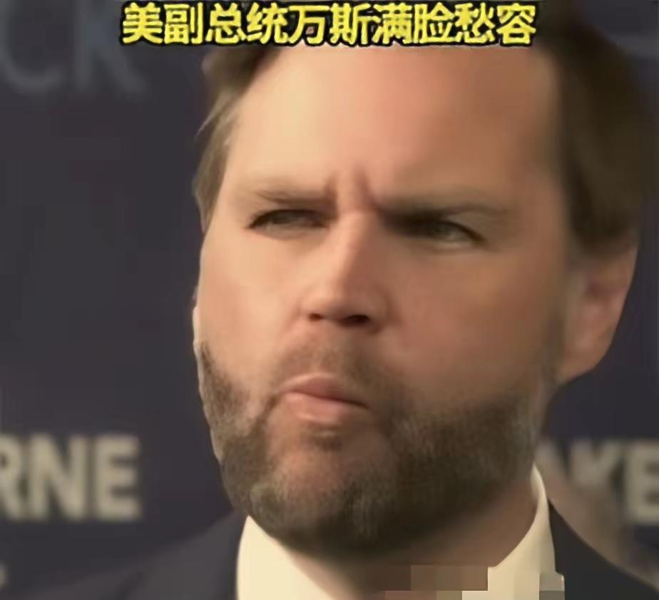 万斯立功了！
美国和伊朗，如果最后和好了，万斯和巴基斯坦总理夏巴兹，绝对是头号功