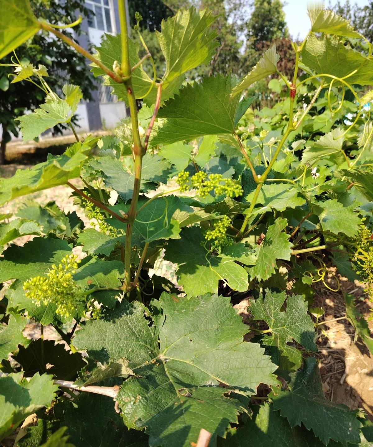 刷到一条“男女相处的九大潜规则”，看完心里咯噔一下。
什么男人娶的是合适，女人嫁