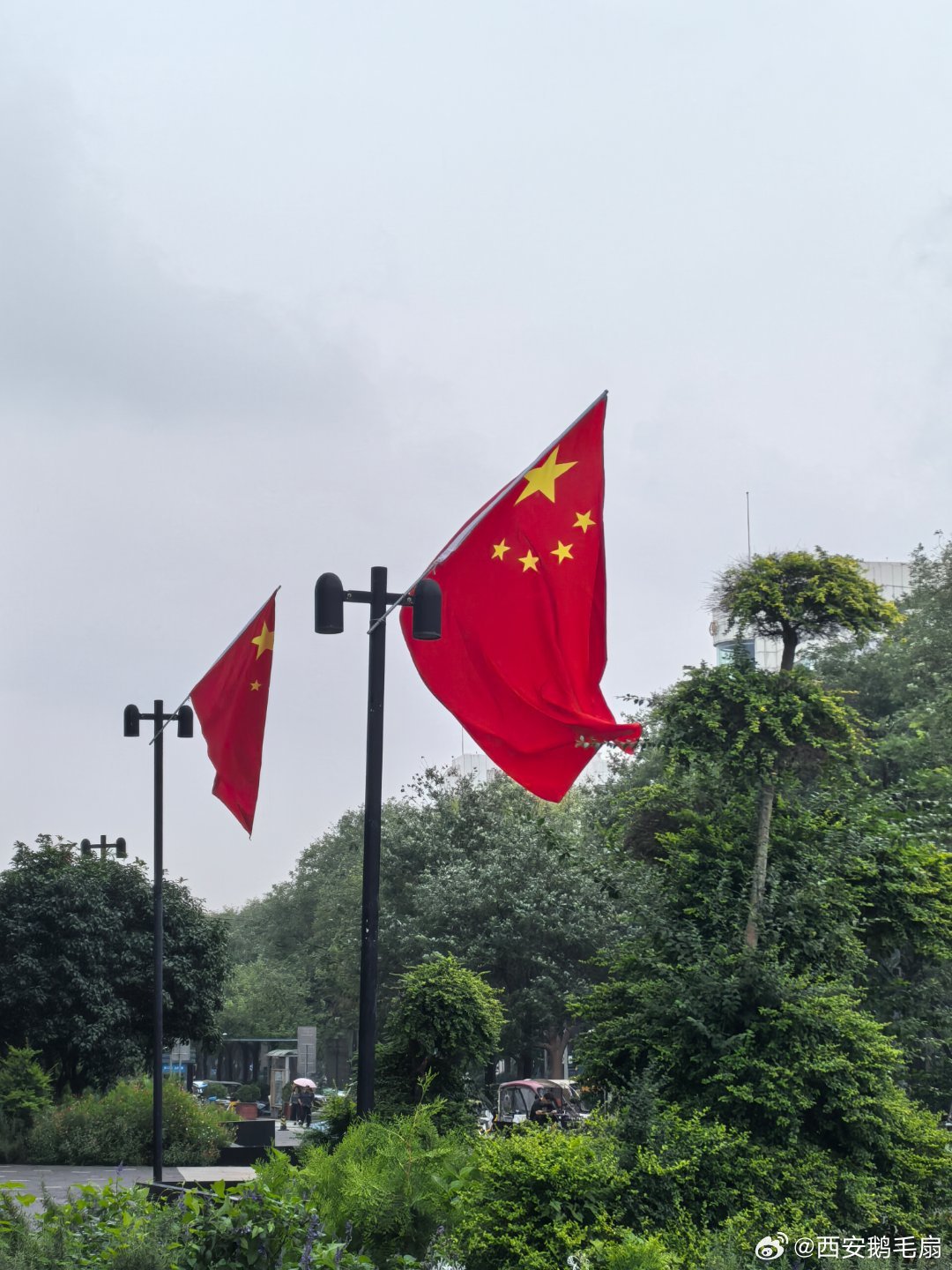 西安旧事 古都西安的街头，五星红旗次第舒展，为国庆添上一抹热烈的中国红。东大街民