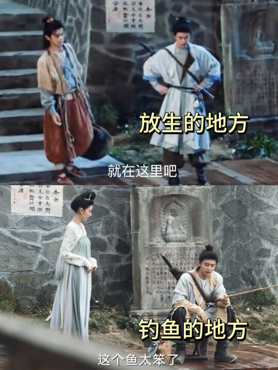笑哭了，细节就是音鳗 一步都没挪啊
