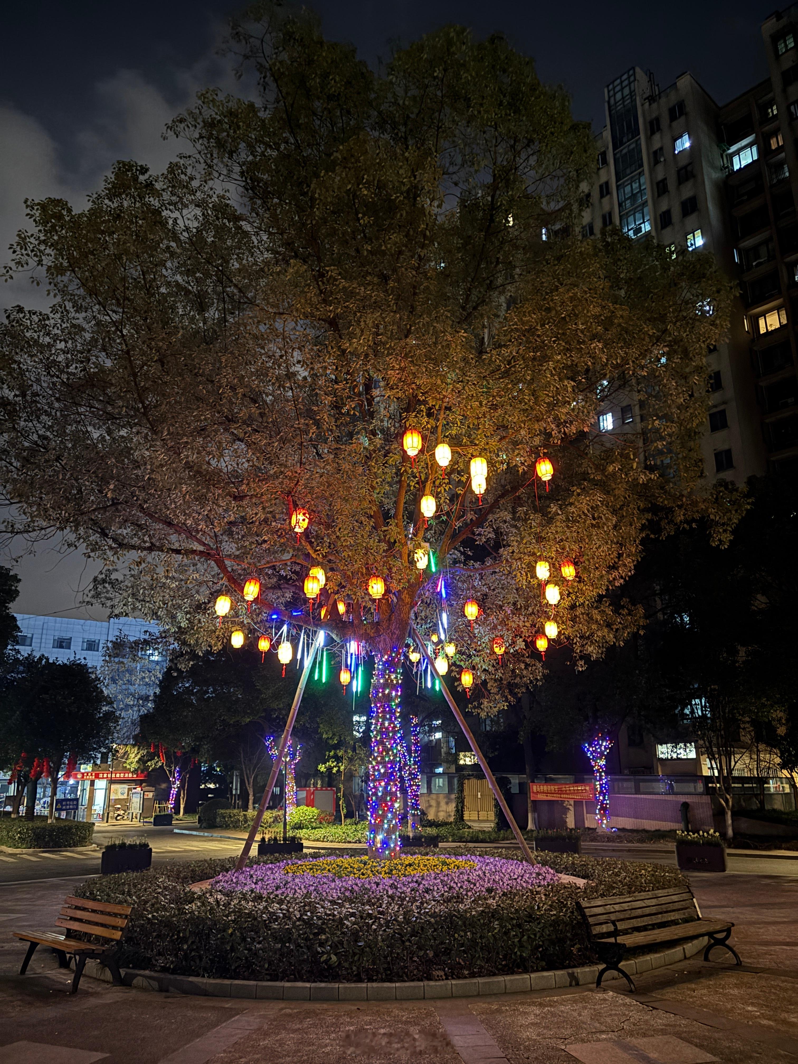 用智搜高效过大年美哦 