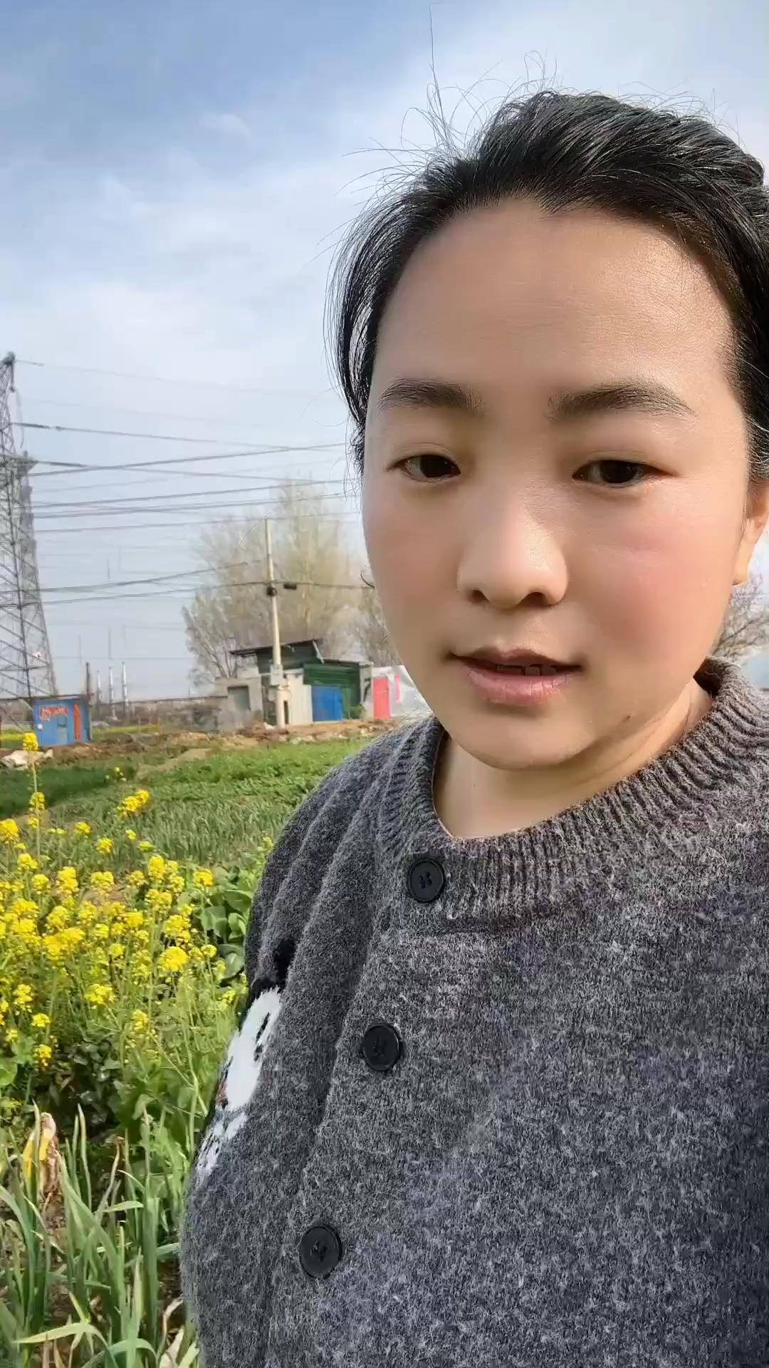 🍃菜园空间小别愁，学会套种超实用！茄子配香菜，豆角伴生菜，西瓜搭苋菜，四季豆旁